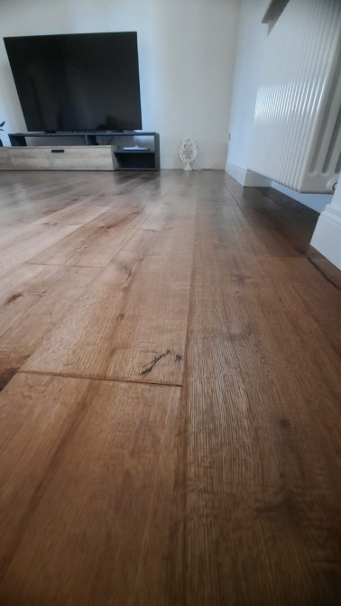 parquet-quercia-fin-monopoli-ambientazione1